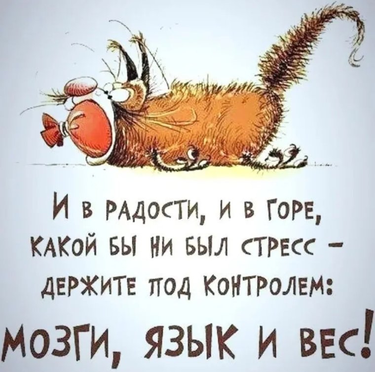 Позитивные фразы