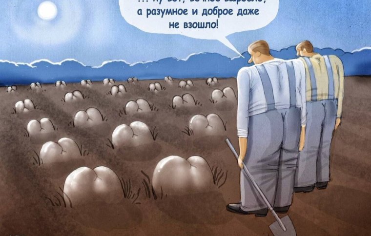 Разумное доброе вечное