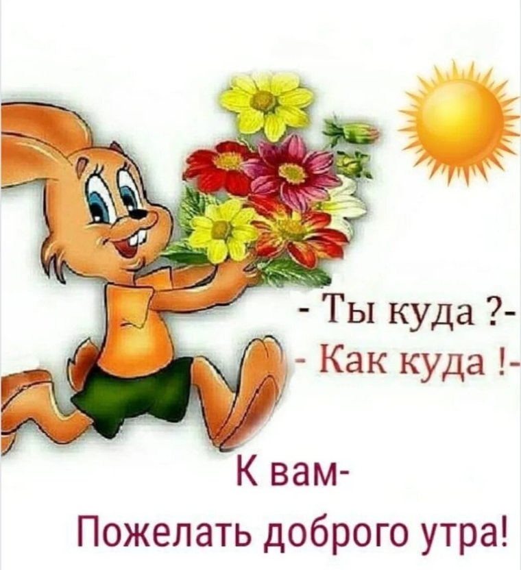 Открытки с добрым утром смешные