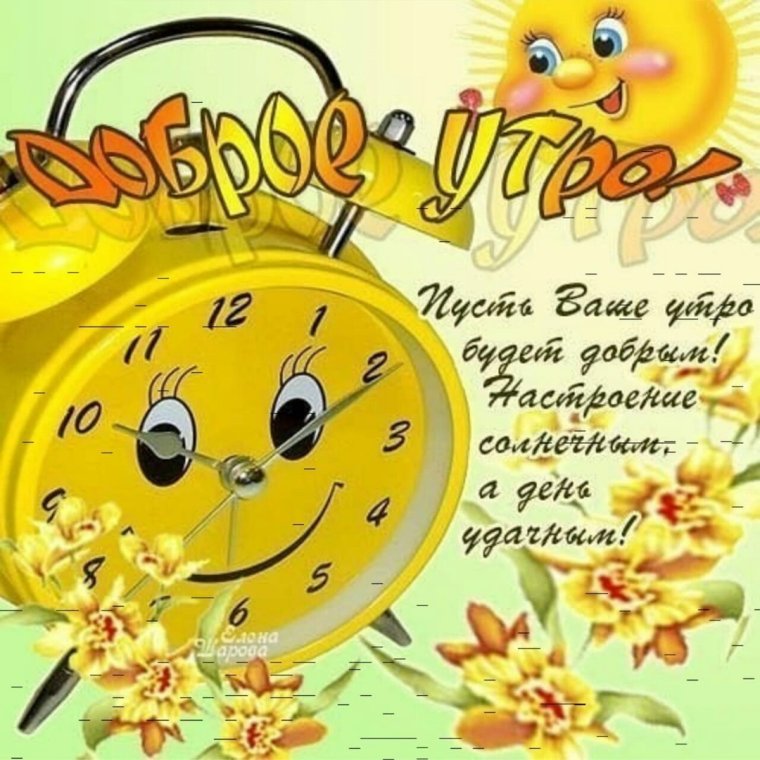 Смешные пожелания доброго утра