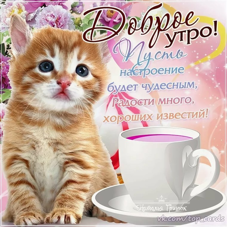 Доброе утро друзья