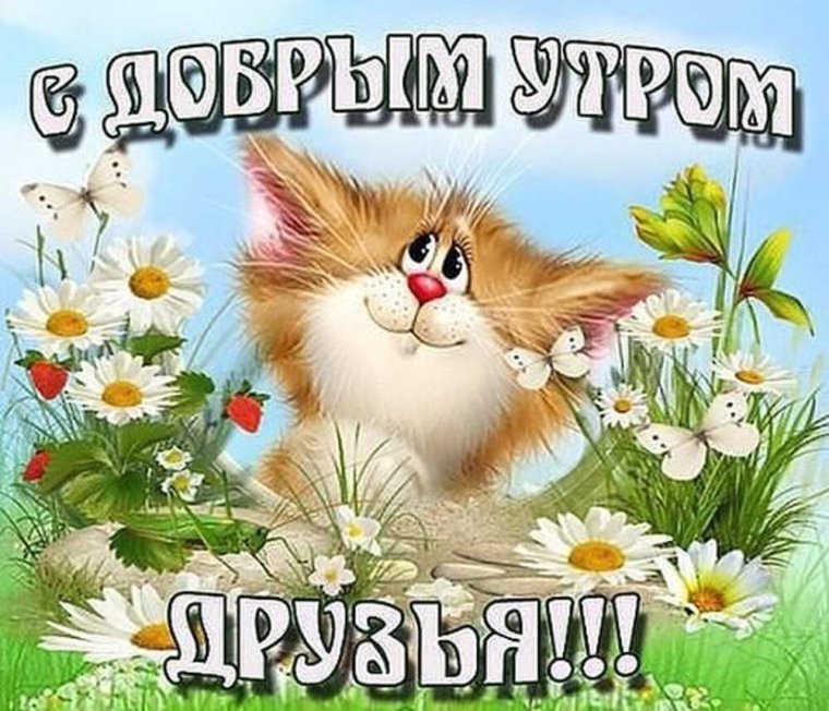 Милые открытки с добрым утром