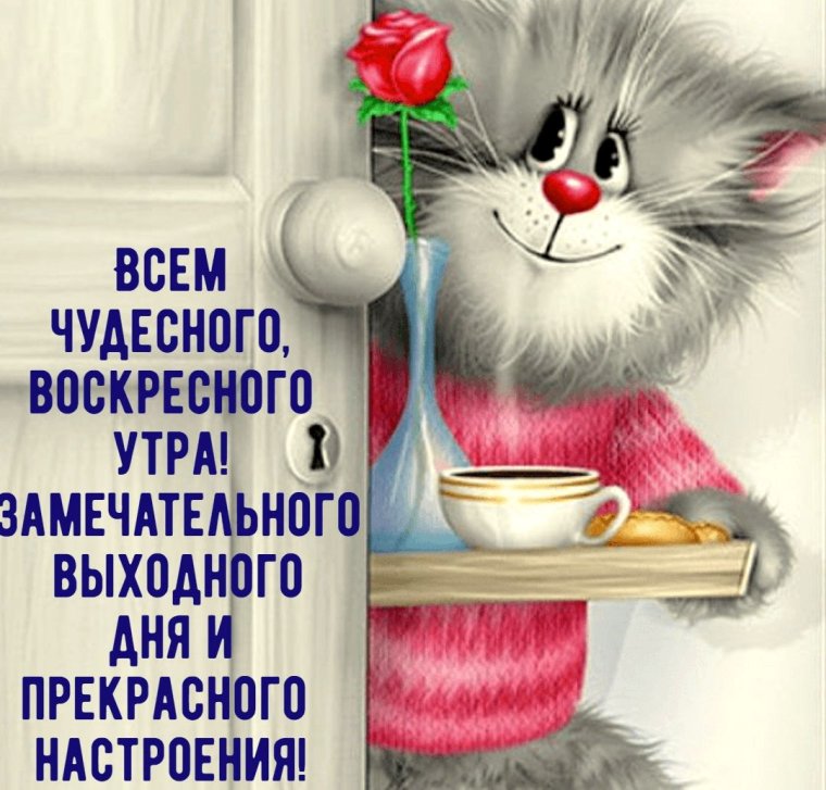 Открытки с добрым утром прикольные