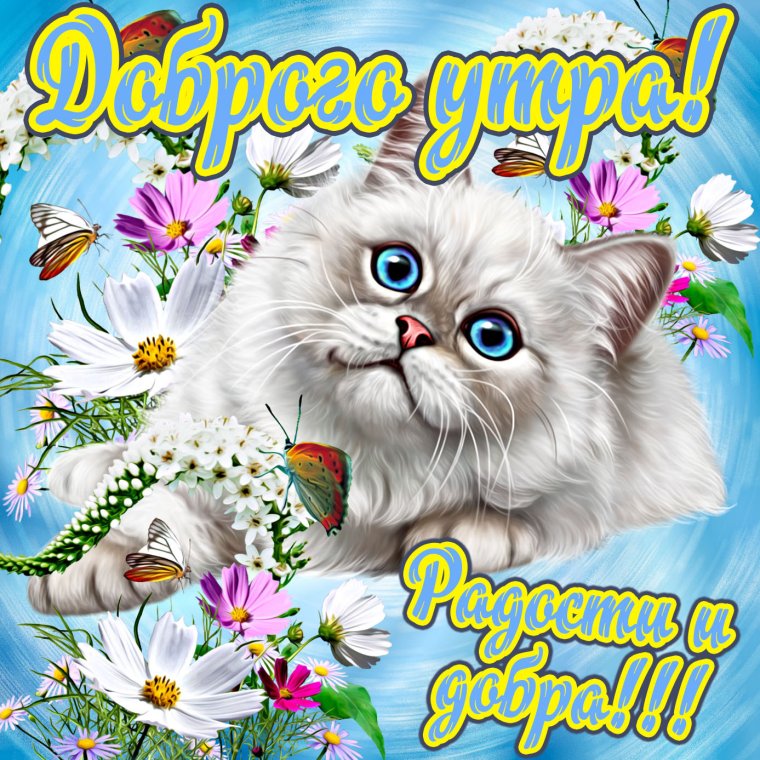 Доброе утро стихи