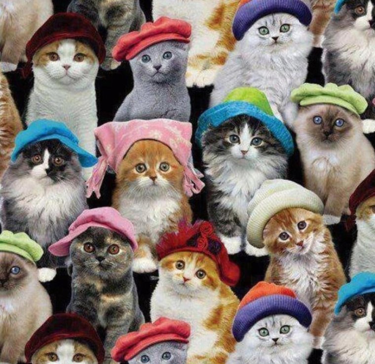 Шапки несколько