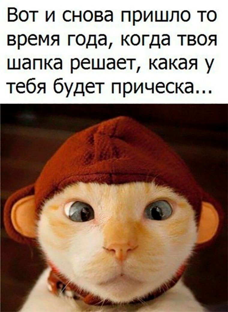 Высказывания про холод