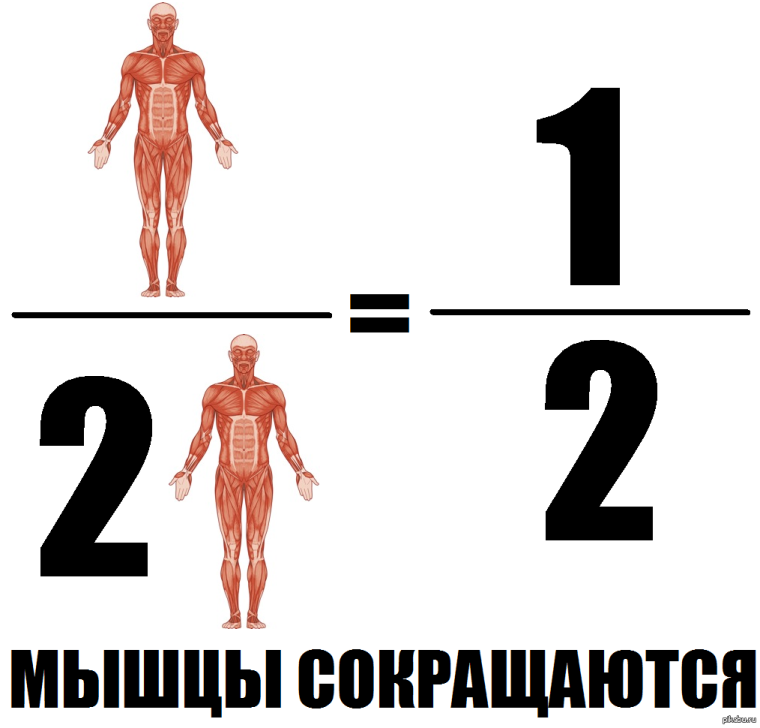 Математические мемы