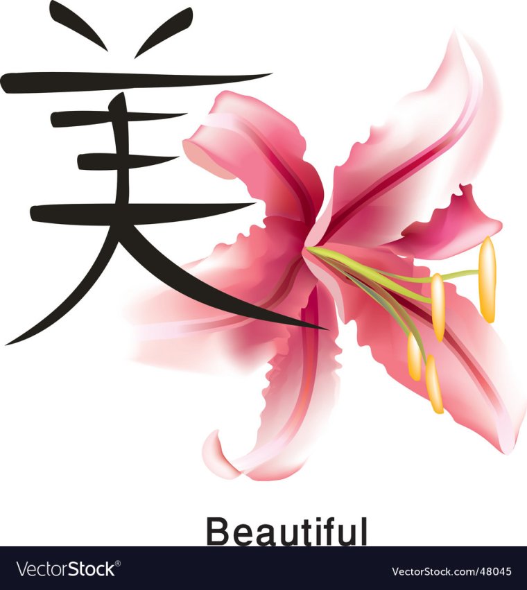 Свитки с иероглифами