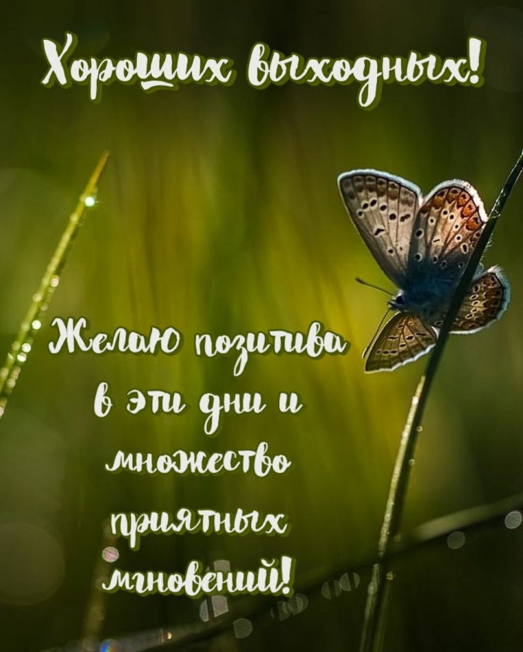 Хороших выходных картинки с надписями