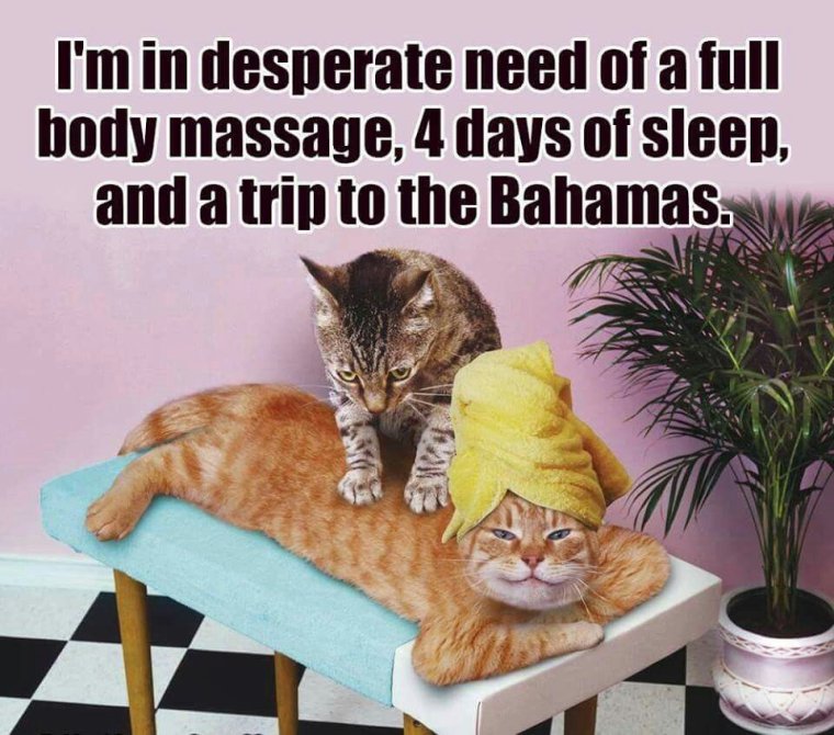 Хорошо отдохнуть в выходные