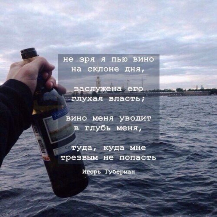 Классные цитаты про вино