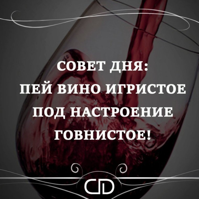 Смешные фразы про вино