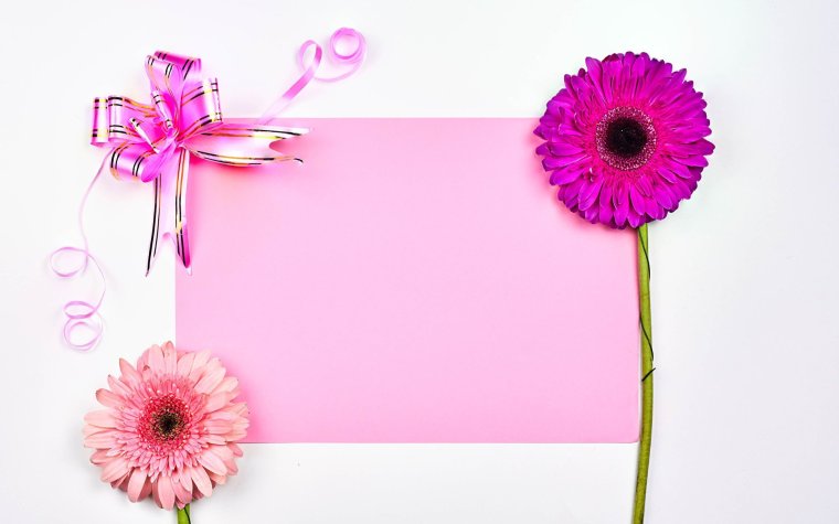 Шаблон открытки с герберами