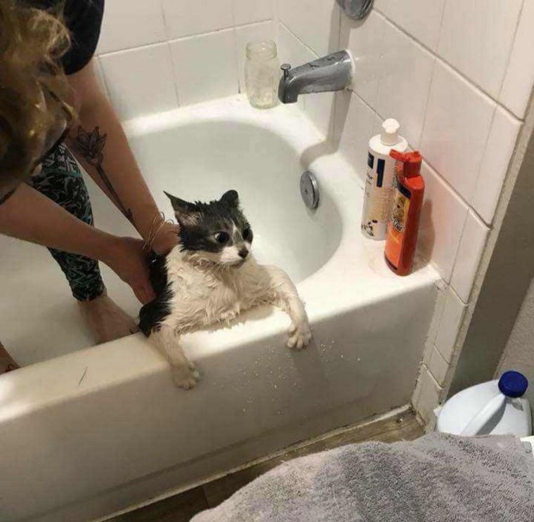 Мужчина в пене