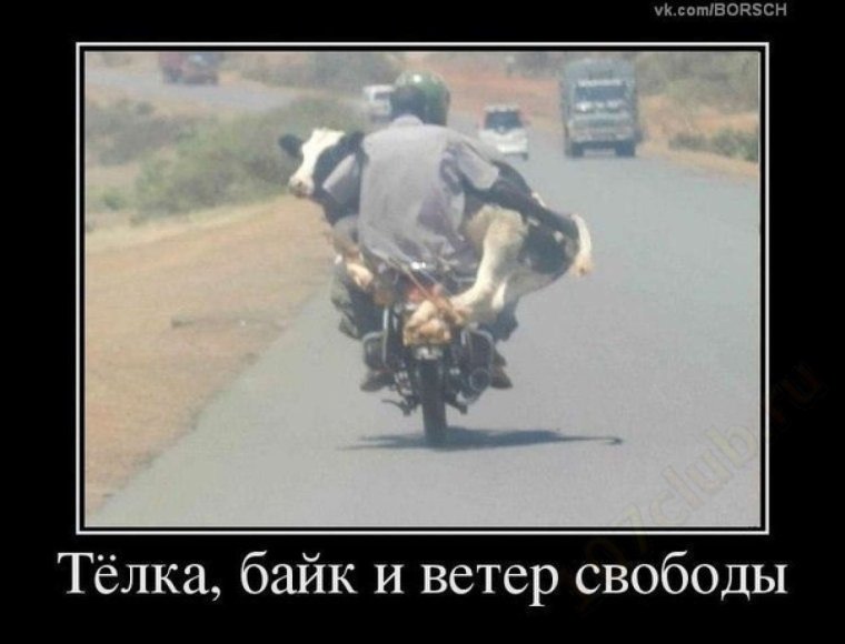 Юмор про мотоциклистов