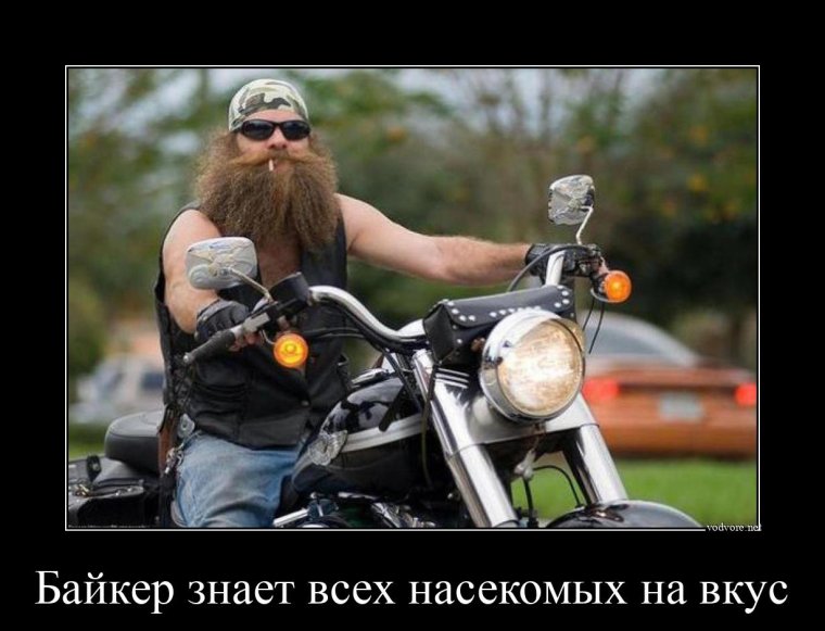 Константин борода байкер КТМ