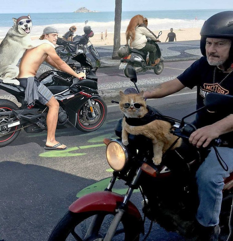 Смешной байкер