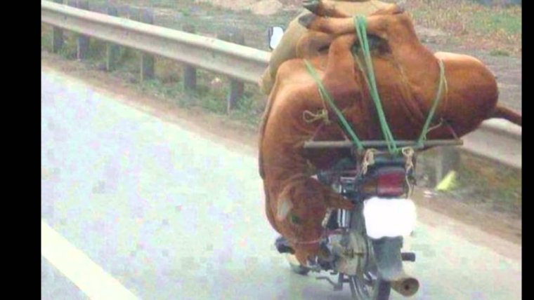 Мотоцикл с грузом