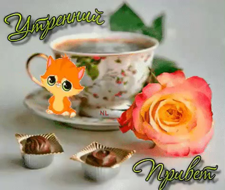 Гиф с добрым утром прикольные