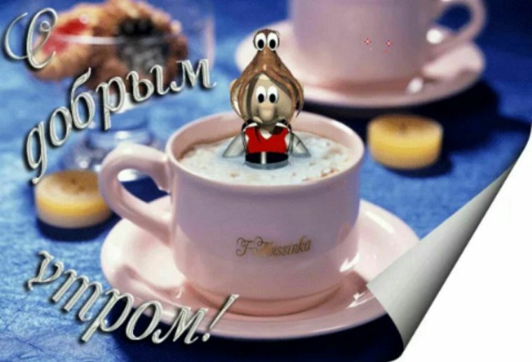 Шуточные пожелания с добрым утром