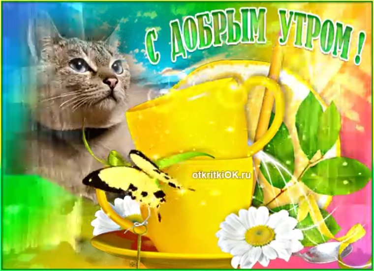 Доброе утро вторника