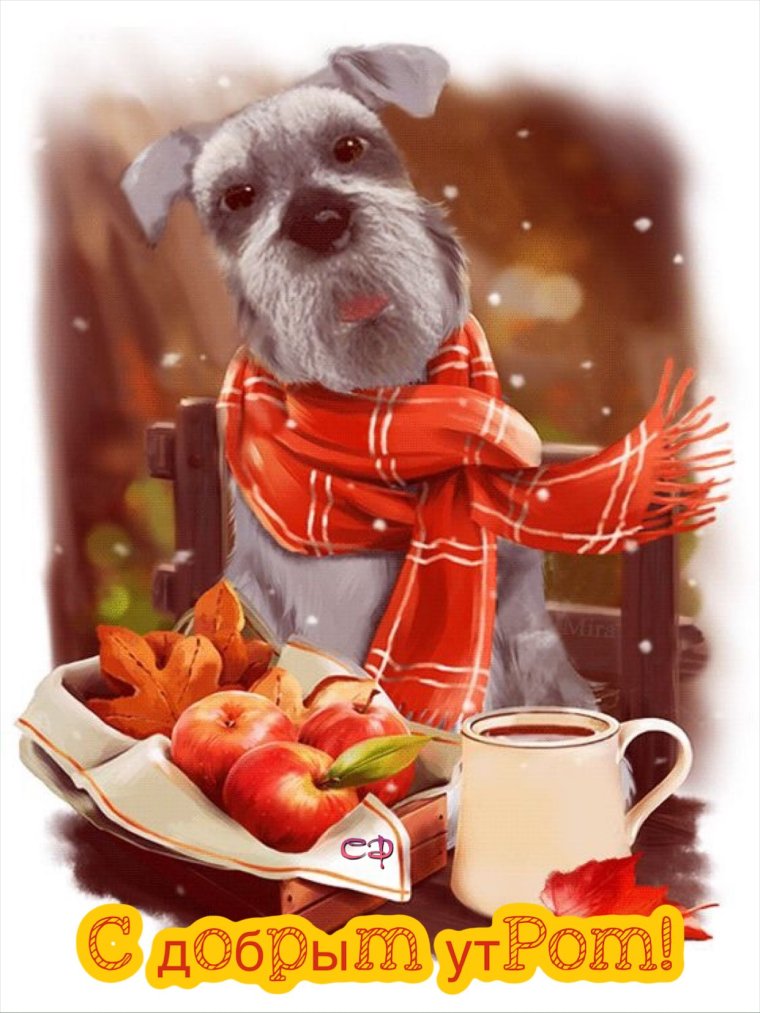 Веселые гифки с добрым утром