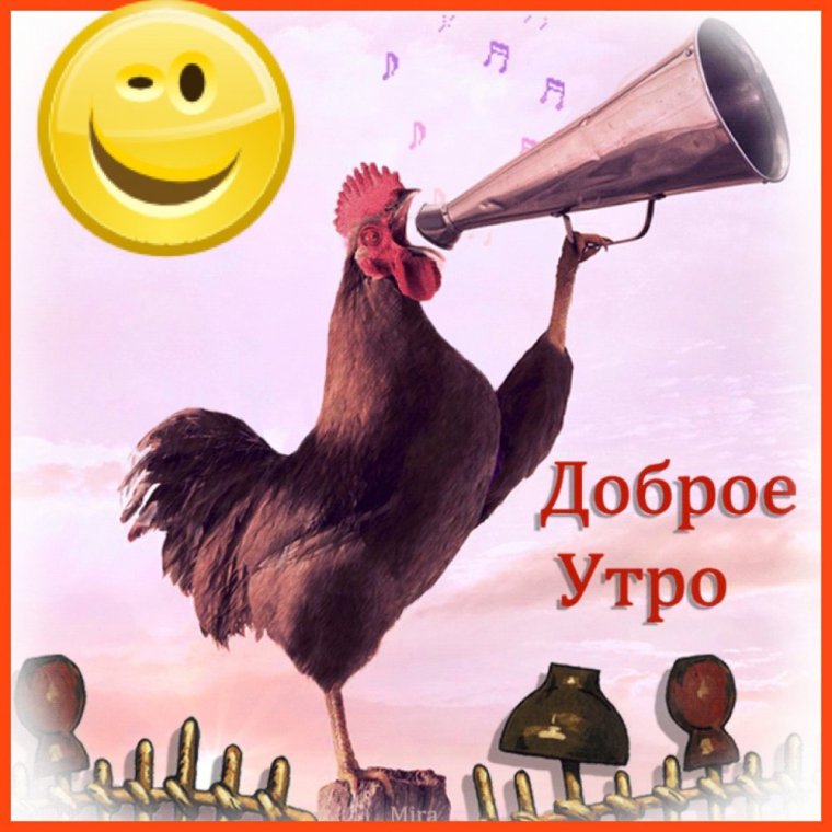 Гифки с добрым утром прикольные