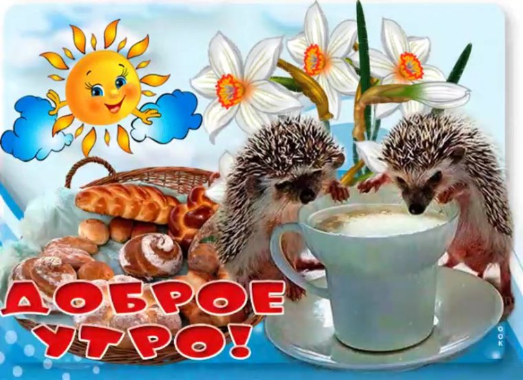 Открытки гифки смешные