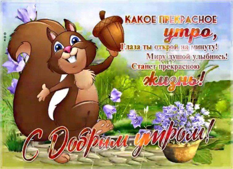 Доброе субботнее утро