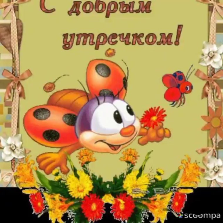 Доброе утро