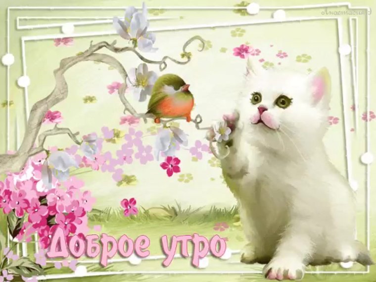 Открытки с добрым утром красивые