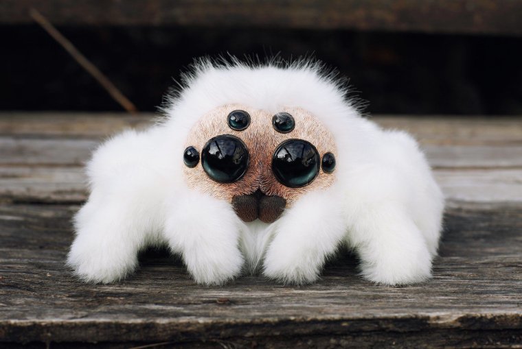 Игрушки Santaniel паук