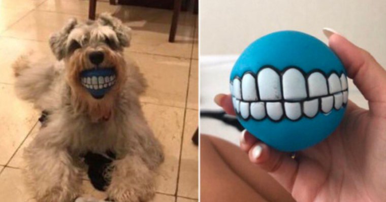 Бдительный паук игрушка