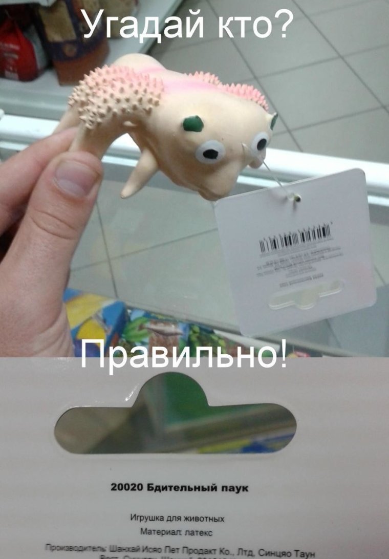 Модные игрушки
