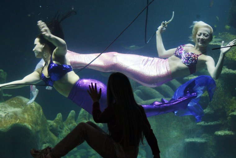 Настоящие русалки живые окияне