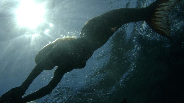 Загадочные существа под водой