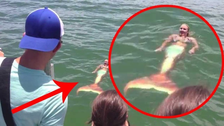 Существа похожие на русалок