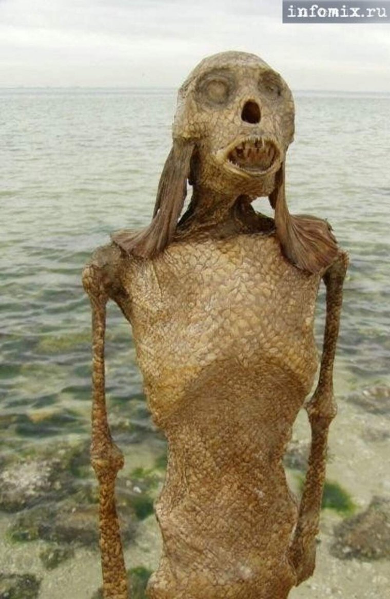 Русалки настоящие