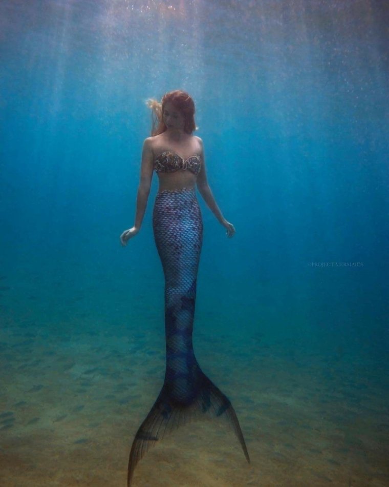 Silicon Mertailor Mermaid Tail