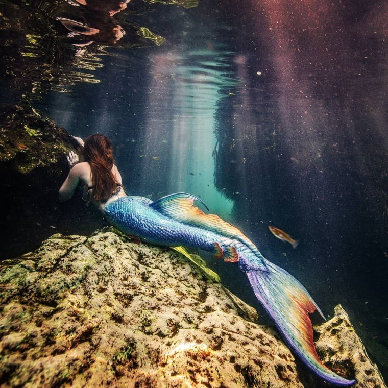 Кристиан риэль