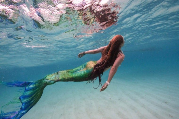Хелена Третьяк Mermaid Ocean