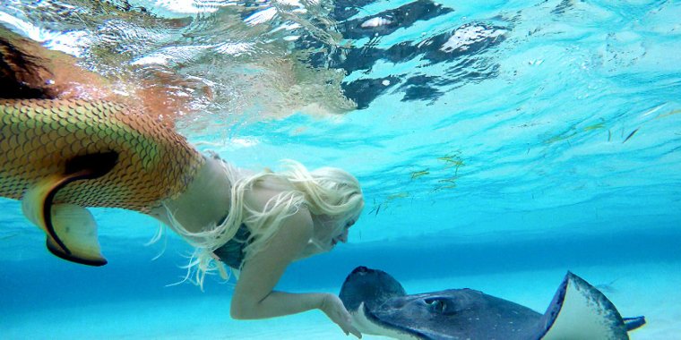 Русалки настоящие живые в океане