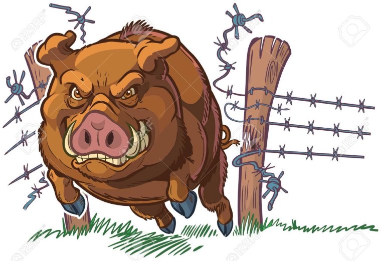 Кабан карикатура