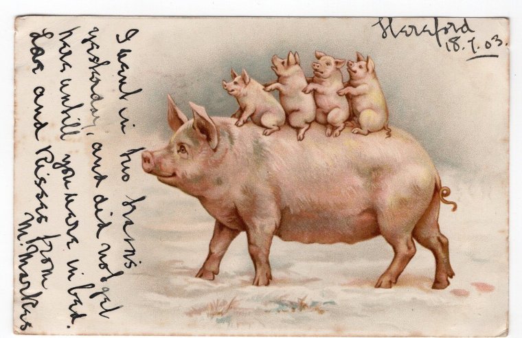 Картина свинья с поросятами