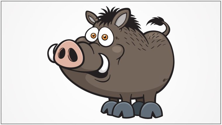 Кабан бежит