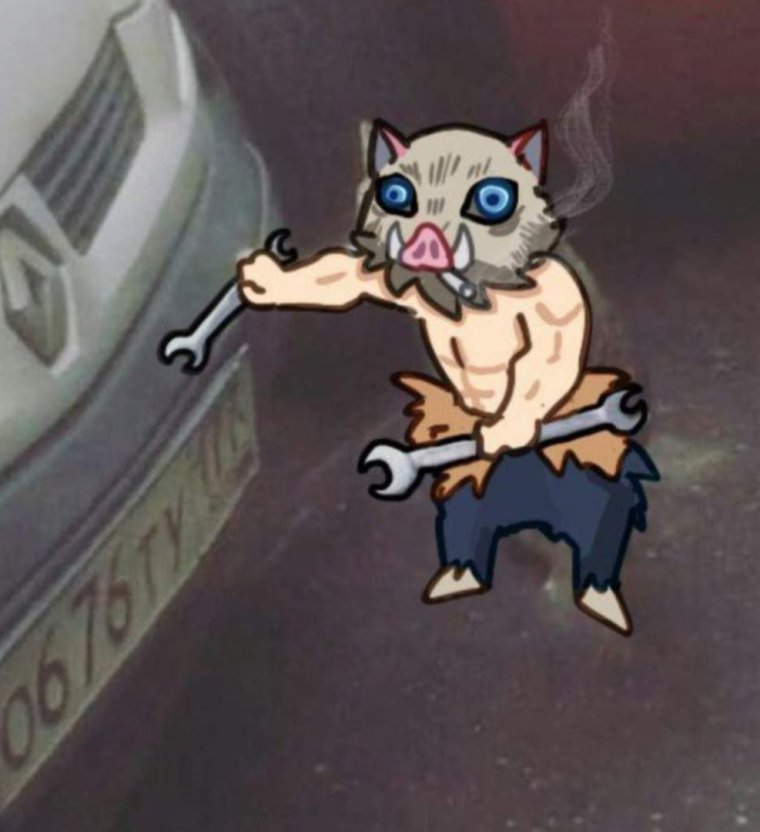 Смешные свинки