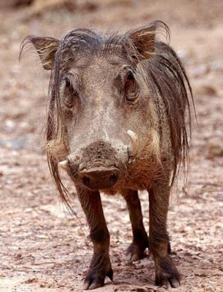 Понедельник приколы