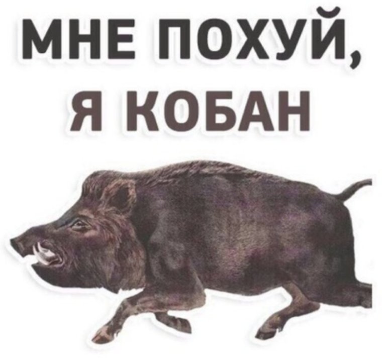Я кабан Мем