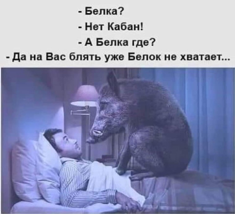 Кабаны под Рязанью