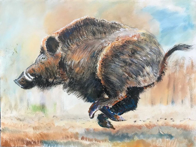 Крутая свинья